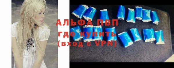 гашик Аркадак